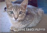 Sauce