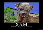 Sam the World's Ugliest Dog