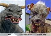 Sam the World's Ugliest Dog