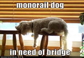 Monorail Cat