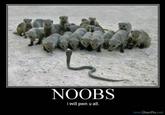 Noob