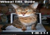 TMI(too much information)