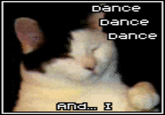 Kitty Cat Dance