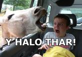 Y helo thar