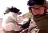 David Motari / Soldier Throws Puppy Off a Cliff