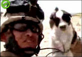 David Motari / Soldier Throws Puppy Off a Cliff