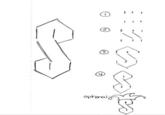 Super S Stussy