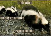 Itteh Bitteh Kitteh Committeh