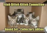 Itteh Bitteh Kitteh Committeh
