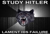 Insanity Wolf