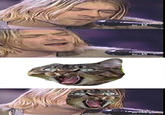 Kurt Cobain Reaction