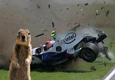 Crasher Squirrel