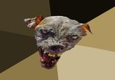 Cynical Dog