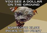 Cynical Dog
