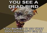 Cynical Dog