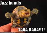 Jazz Hands