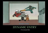 DYNAMIC ENTRY!