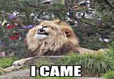 I came