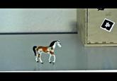 MINI HORSE: a tale of horses that are smaller...