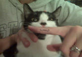 Fingerstache
