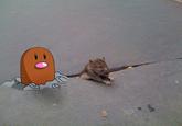 Sad Rat