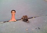 Sad Rat