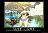 Gay Test
