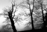 Slender Man