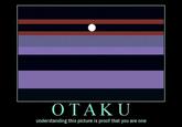 Otaku Test