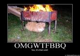 OMGWTFBBQ