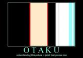 Otaku Test