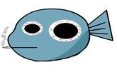 Give Squirtle a Face