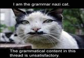 Grammar Nazi