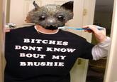 Brushie Brushie Brushie
