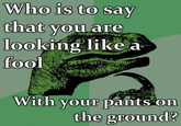 Pants on the Ground!