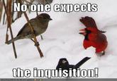 Spanish Inquisition YTMND Fad
