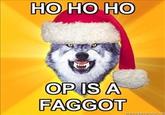 OP is a Faggot