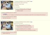 Peter the Cat (The King of /b/)