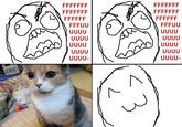 Peter the Cat (The King of /b/)