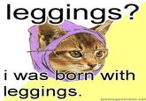 Hipster Kitty