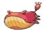 Hot Skitty on Wailord Action