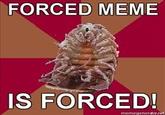 Forced Meme