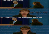 Biden / Palin Debate 4pane