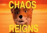chaos reigns