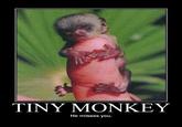 Demotivational Posters