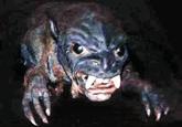 El Chupacabra / Chupacabras