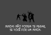 Fatos Curiosos Sobre Ninjas / Curious Ninjas Facts