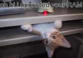 Oh Hi I Upgraded Your RAM