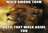 Power Lion