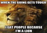 Power Lion